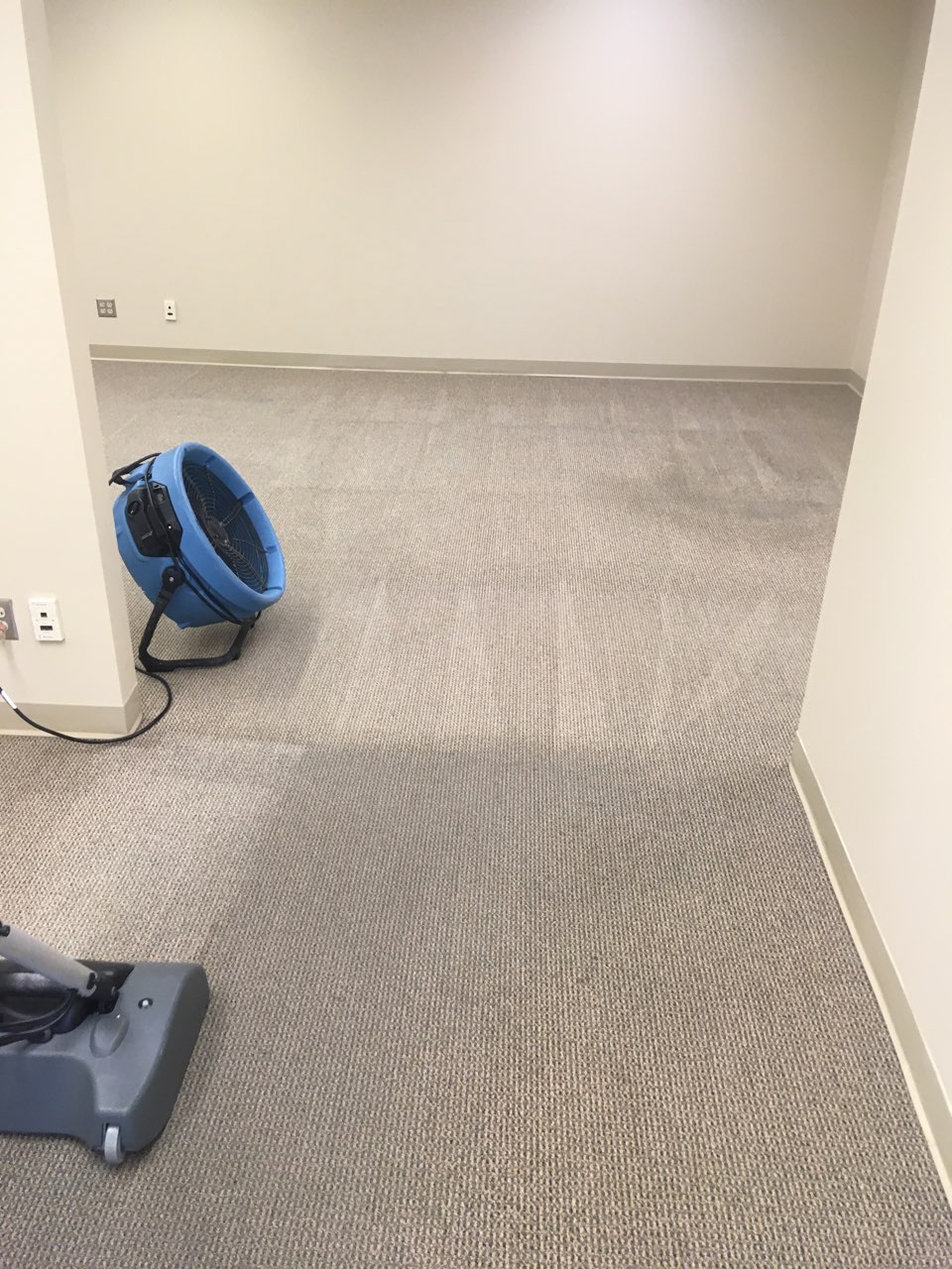 Professional Carpet Cleaning